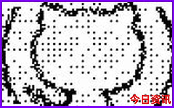 黄龙景区到黄龙九寨站